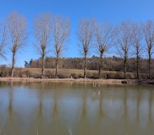 Wanderung "Perspektivenwechsel"